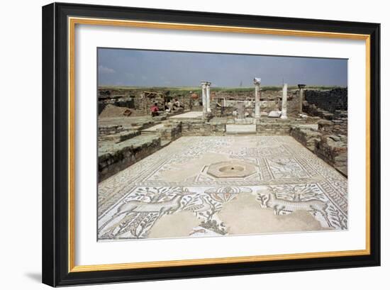 Mosaic, Ruins of the Roman Town of Stobi, Gradsko, Macedonia-Vivienne Sharp-Framed Photographic Print