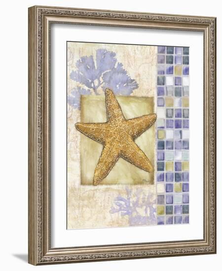 Mosaic Shell Collage II-Paul Brent-Framed Art Print