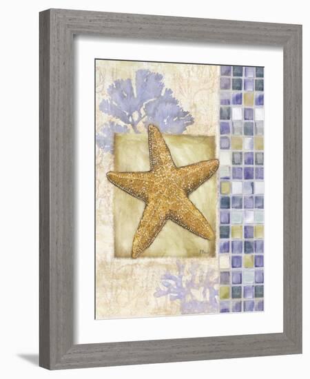 Mosaic Shell Collage II-Paul Brent-Framed Art Print