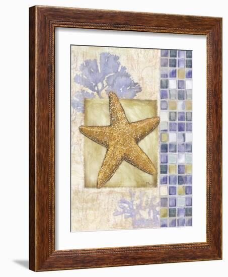 Mosaic Shell Collage II-Paul Brent-Framed Art Print