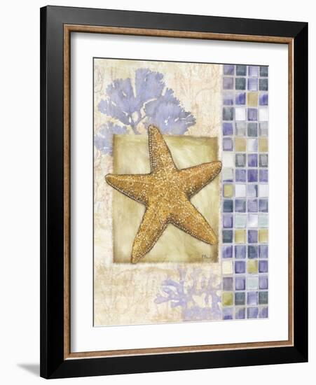 Mosaic Shell Collage II-Paul Brent-Framed Art Print