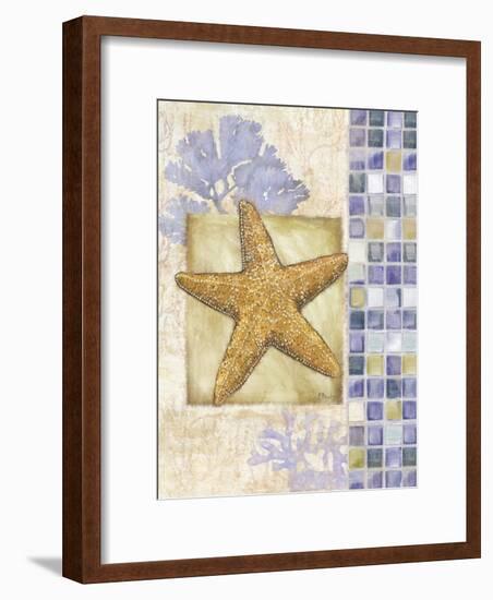 Mosaic Shell Collage II-Paul Brent-Framed Art Print