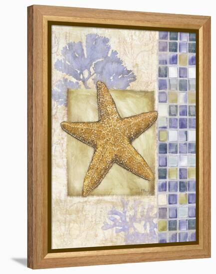 Mosaic Shell Collage II-Paul Brent-Framed Stretched Canvas