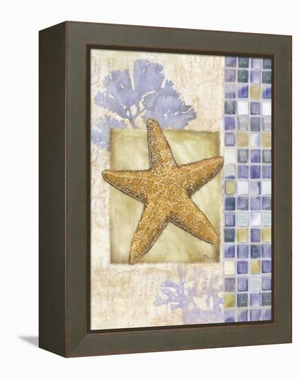 Mosaic Shell Collage II-Paul Brent-Framed Stretched Canvas