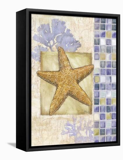 Mosaic Shell Collage II-Paul Brent-Framed Stretched Canvas