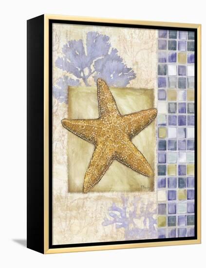 Mosaic Shell Collage II-Paul Brent-Framed Stretched Canvas