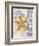 Mosaic Shell Collage II-Paul Brent-Framed Art Print