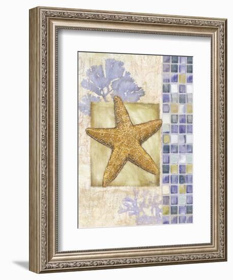 Mosaic Shell Collage II-Paul Brent-Framed Art Print