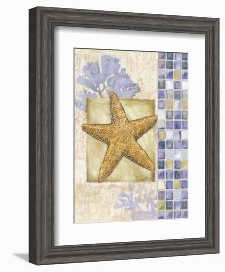 Mosaic Shell Collage II-Paul Brent-Framed Art Print