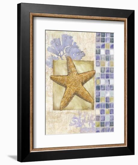 Mosaic Shell Collage II-Paul Brent-Framed Art Print