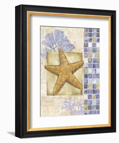 Mosaic Shell Collage II-Paul Brent-Framed Art Print