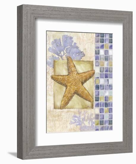 Mosaic Shell Collage II-Paul Brent-Framed Premium Giclee Print