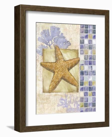 Mosaic Shell Collage II-Paul Brent-Framed Premium Giclee Print