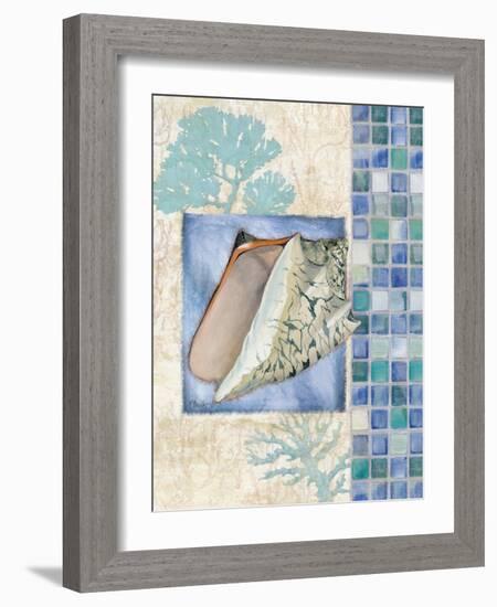 Mosaic Shell Collage III-Paul Brent-Framed Art Print