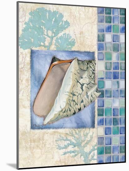 Mosaic Shell Collage III-Paul Brent-Mounted Art Print