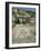 Mosaic, the House of Gladiators, Kourion, Cyprus, Europe-Jeremy Bright-Framed Photographic Print