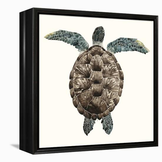 Mosaic Turtle I-Grace Popp-Framed Stretched Canvas