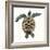 Mosaic Turtle II-Grace Popp-Framed Premium Giclee Print