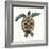 Mosaic Turtle II-Grace Popp-Framed Premium Giclee Print