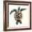 Mosaic Turtle II-Grace Popp-Framed Premium Giclee Print