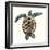 Mosaic Turtle II-Grace Popp-Framed Premium Giclee Print