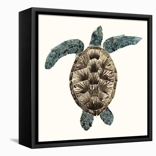 Mosaic Turtle II-Grace Popp-Framed Stretched Canvas