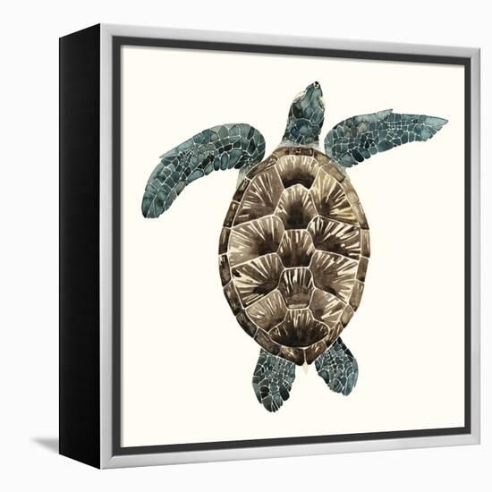 Mosaic Turtle II-Grace Popp-Framed Stretched Canvas