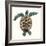 Mosaic Turtle II-Grace Popp-Framed Art Print