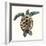 Mosaic Turtle II-Grace Popp-Framed Art Print