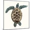 Mosaic Turtle II-Grace Popp-Mounted Art Print