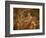 Mosaic, Ulysses and Polyphemus, Dating from the 4th Century AD, Near Piazza Armerina-Richard Ashworth-Framed Photographic Print