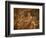 Mosaic, Ulysses and Polyphemus, Dating from the 4th Century AD, Near Piazza Armerina-Richard Ashworth-Framed Photographic Print