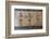 Mosaic, Villa Romana Del Casale, Piazza Armerina, UNESCO World Heritage Site, Sicily, Italy, Europe-Vincenzo Lombardo-Framed Photographic Print