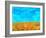 Mosaic Vista II-Michael Tienhaara-Framed Art Print