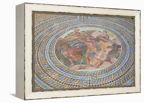 Mosaics at Kato Paphos Archaeological Park, UNESCO World Heritage Site, Paphos, Cyprus-Neil Farrin-Framed Premier Image Canvas