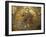 Mosaics Depicting the Final Judgement, Baptistery, Duomo Florence, Tuscany, Italy, Europe-Godong-Framed Photographic Print