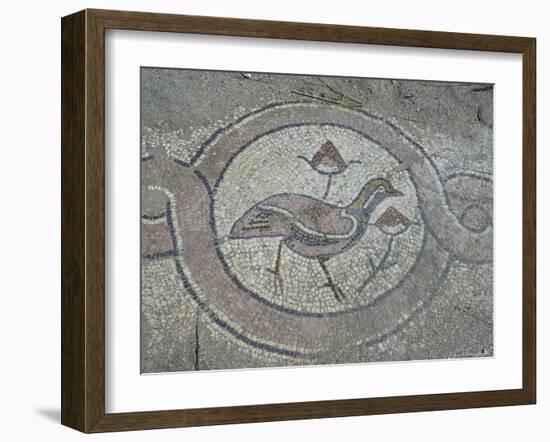 Mosaics in the UNESCO Site Thermae, Butrint, Albania-Michele Molinari-Framed Photographic Print