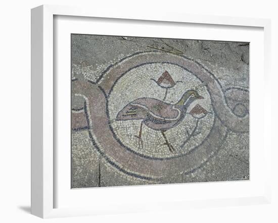 Mosaics in the UNESCO Site Thermae, Butrint, Albania-Michele Molinari-Framed Photographic Print