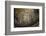 Mosaics Inside the Church of Santa Maria in Trastevere-Stuart Black-Framed Photographic Print