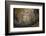 Mosaics Inside the Church of Santa Maria in Trastevere-Stuart Black-Framed Photographic Print