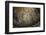 Mosaics Inside the Church of Santa Maria in Trastevere-Stuart Black-Framed Photographic Print