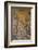 Mosaics on the Wall of St. George's Church, Madaba, Jordan, Middle East-Richard Maschmeyer-Framed Photographic Print