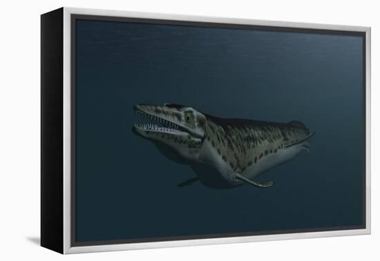 Mosasaur Swimming in Prehistoric Waters-null-Framed Stretched Canvas