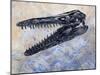 Mosasaurus Dinosaur Skull-Stocktrek Images-Mounted Art Print