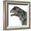 Moschops Dinosaur, White Background-Stocktrek Images-Framed Art Print