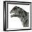 Moschops Dinosaur, White Background-Stocktrek Images-Framed Art Print