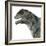 Moschops Dinosaur, White Background-Stocktrek Images-Framed Art Print