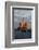 Moscow, Red Square, Saint Basil's Cathedral-Catharina Lux-Framed Photographic Print