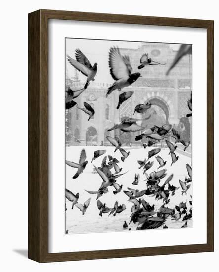 Moscow-Design Fabrikken-Framed Photographic Print