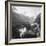 Moserboden, Salzburg, Austria, C1900s-Wurthle & Sons-Framed Photographic Print